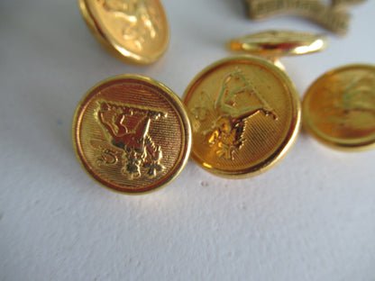 CANADA ASSORTED GROUP OF MILITARY UNIFORM BADGES AND BUTTONS.