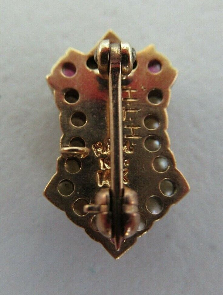 USA FRATERNITY PIN DELTA OMEGA SIGMA. MADE IN GOLD 14K RUBIES. NAMED M