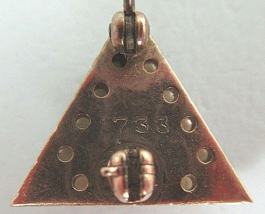 USA FRATERNITY PIN SIGMA EPSILON DELTA. MADE IN GOLD. NUMBERED.1386