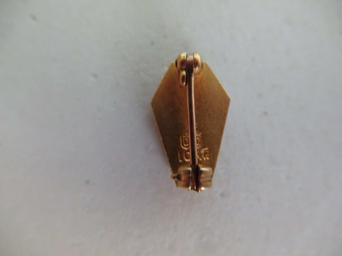 USA FRATERNITY PIN SIGMA LAMBDA ALPHA. MADE IN GOLD 10K. MARKED. 934