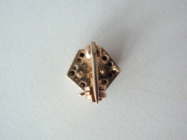 美国兄弟会 PIN Delta PHI Sigma。 14K 金制成。 173