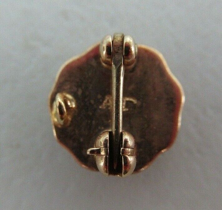 USA FRATERNITY PIN PHI MU EPSILON. MADE IN GOLD. NAMED. DELTA CHAP. 14