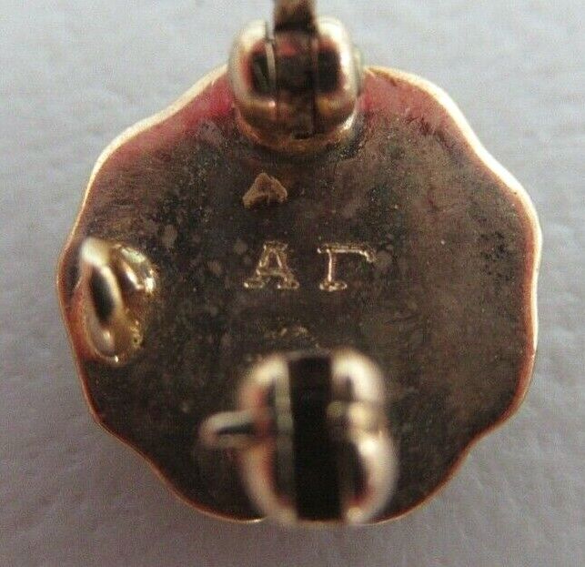 USA FRATERNITY PIN PHI MU EPSILON. MADE IN GOLD. NAMED. DELTA CHAP. 14