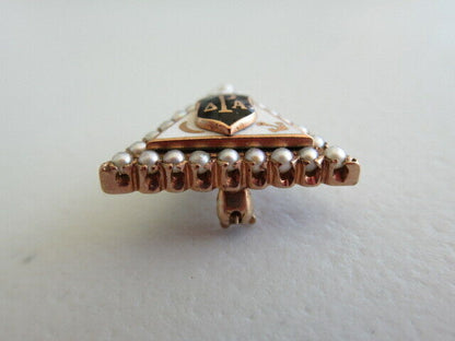 USA FRATERNITY PIN DELTA RHO ALPHA. MADE IN GOLD. NAMED. 725