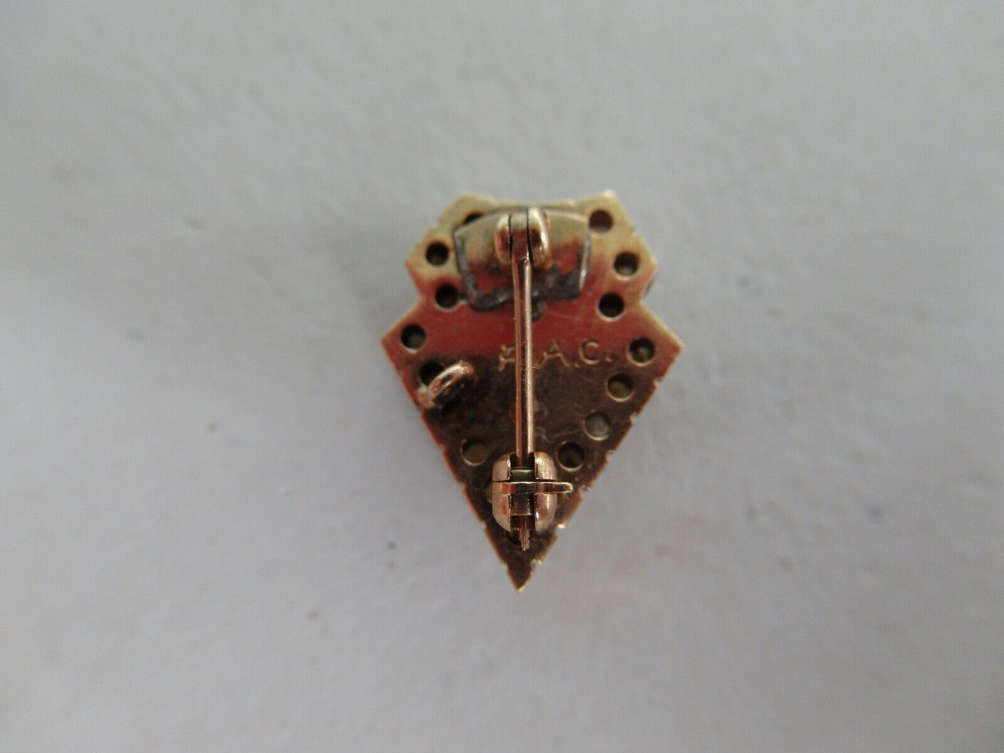 美国兄弟会 PIN ALPHA Sigma NU。黄金制造。命名。 1096