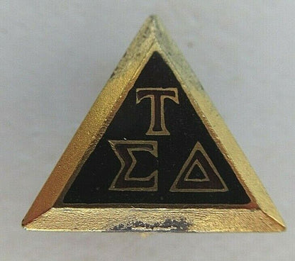 USA FRATERNITY PIN TAU SIGMA DELTA. MADE IN GOLD. 1329