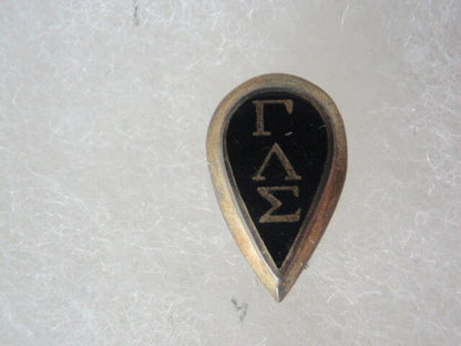 美国兄弟会 PIN GAMMA LAMBDA Sigma。命名。 166