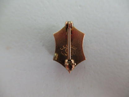 USA FRATERNITY PIN GAMMA PHI OMEGA. MADE IN GOLD. NAMED. MARKED. 769