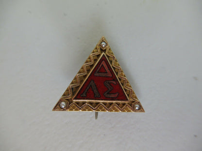 USA FRATERNITY PIN DELTA LAMBDA SIGMA. MADE IN GOLD. NAMED. 853