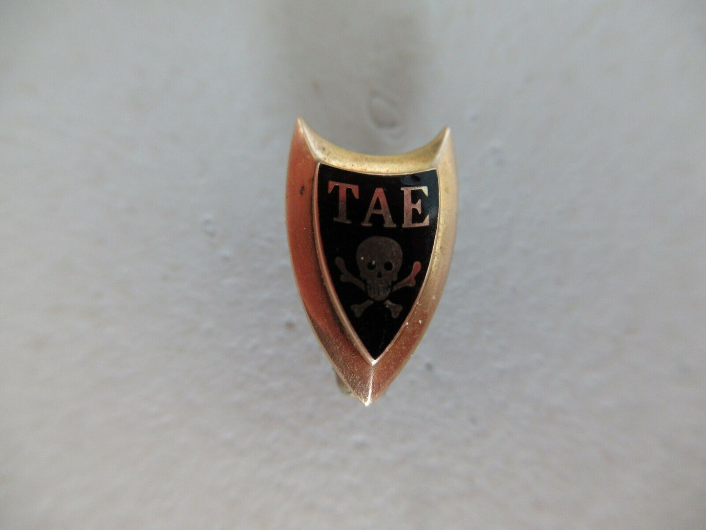 USA FRATERNITY PIN TAU ALPHA EPSILON. MADE IN GOLD 10K. NAMED. 902