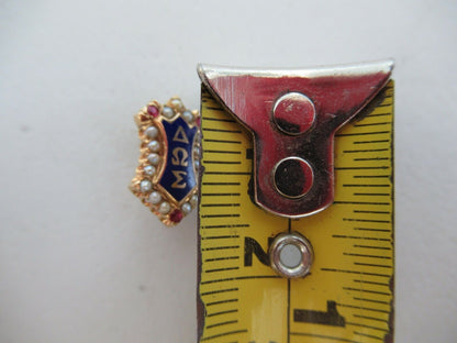 USA FRATERNITY PIN DELTA OMEGA SIGMA. MADE IN GOLD 14K RUBIES. NAMED M