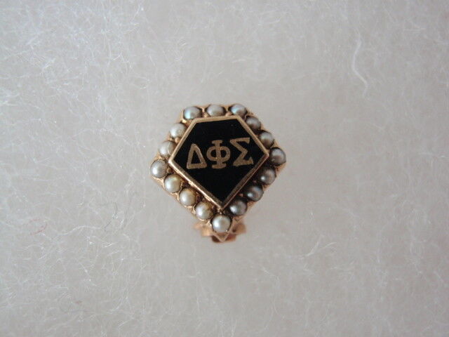 美国兄弟会 PIN Delta PHI Sigma。 14K 金制成。 173