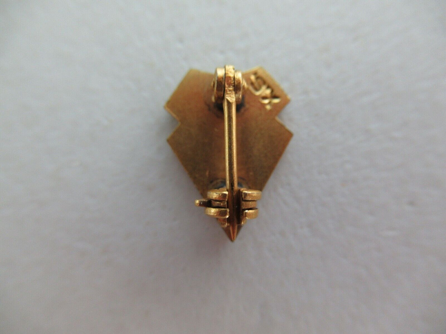 USA FRATERNITY PIN PHI OMEGA PHI. MADE IN GOLD. NAMED. 896