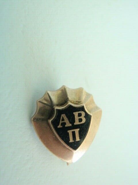 USA FRATERNITY PIN ALPHA BETA PI . MADE IN GOLD 10K. 630