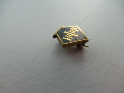 USA FRATERNITY PIN BETA PHI PSI. 1160