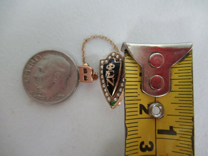 USA FRATERNITY PIN PHI SIGMA NU. MADE IN GOLD 10K. 1963. NAMED. MARKED