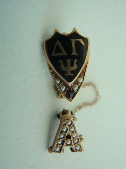 美国兄弟会 PIN Delta GAMMA PSI。 10K 金制成。已标记。第659章