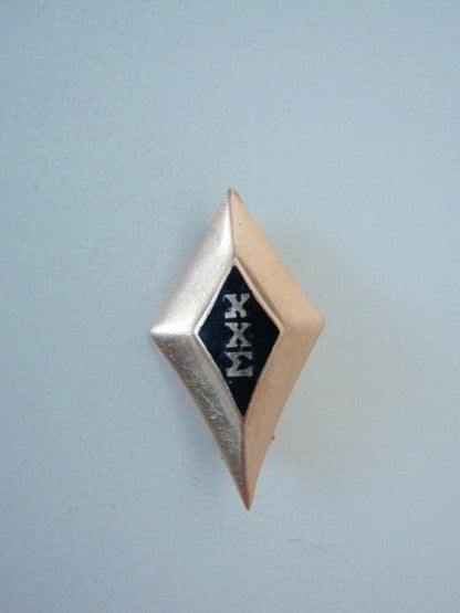 美国兄弟会 PIN CHI CHI EPSILON。 14K 金制成。已标记。 318