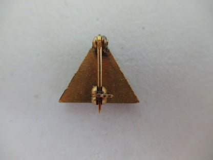 USA FRATERNITY PIN DELTA DELTA. 846