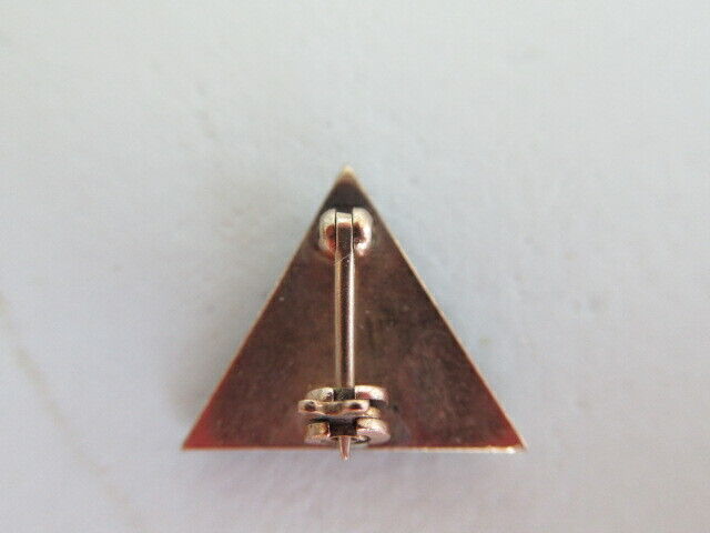 USA FRATERNITY PIN PHI TAU GAMMA. MADE IN GOLD. 728