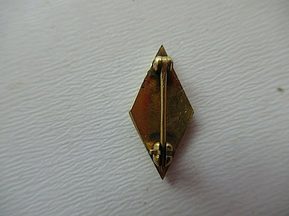 USA FRATERNITY PIN PI EPSILON. MADE IN GOLD.1281