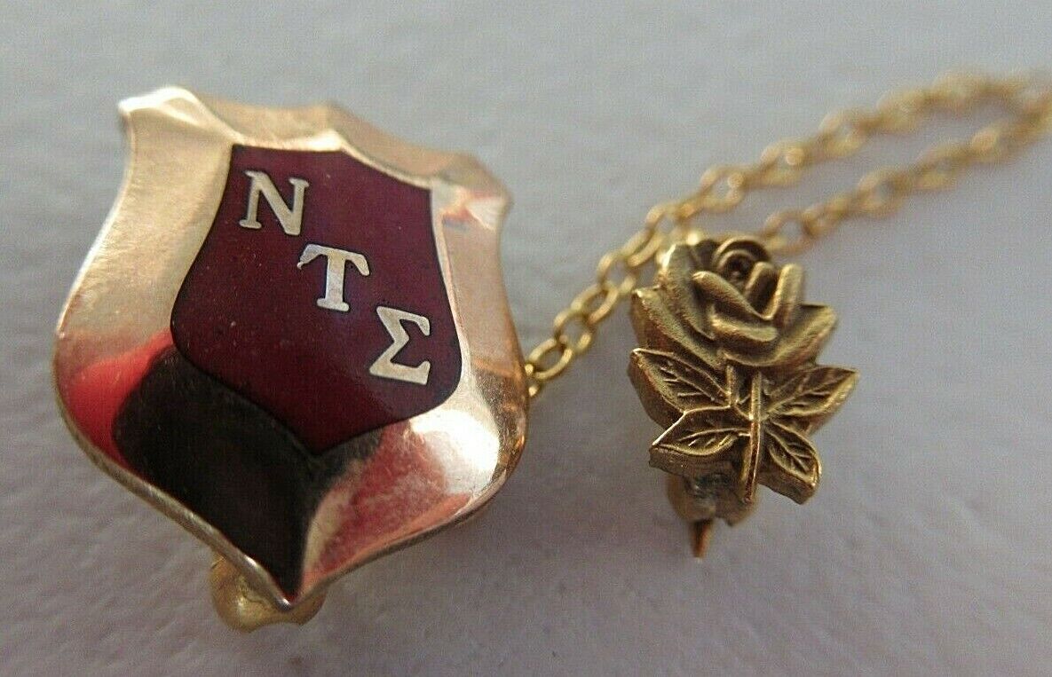 USA FRATERNITY PIN NU TAU SIGMA. MADE IN GOLD FILLED. MARKED. 1406