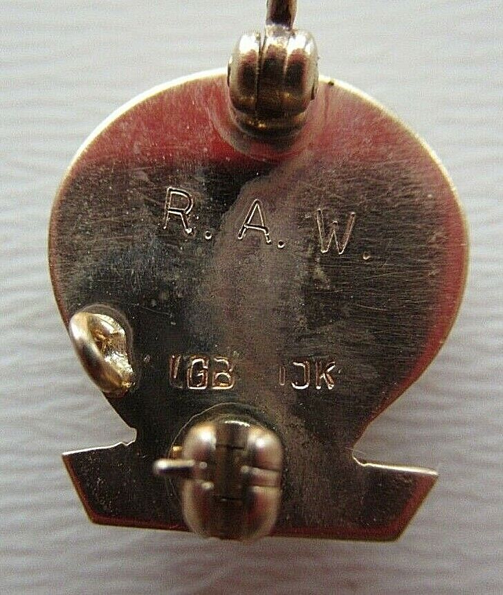 USA FRATERNITY PIN TAU OMEGA. MADE IN GOLD 10K. NAMED. MARKED.1311