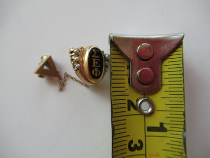 美国兄弟会 PIN 西格玛 EPSILON PHI。 14K 金制成。 1194