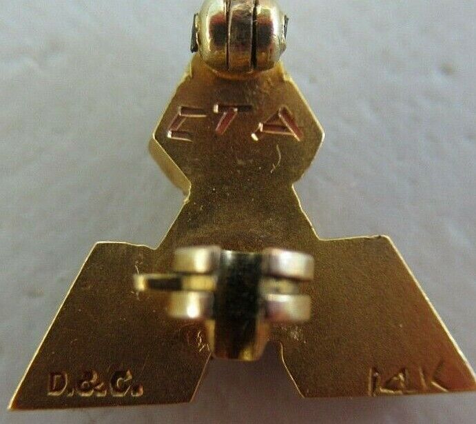 美国兄弟会 PIN OMEGA IONA PI。 14K 金制成。命名。已标记。 172