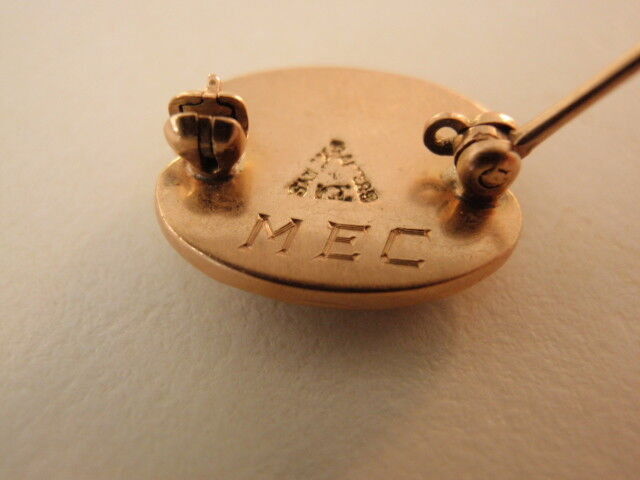 USA FRATERNITY PIN DELTA SIGMA TAU. MADE IN GOLD. PEARLS. NAMED. 236