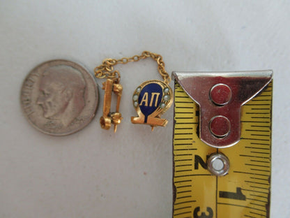 USA FRATERNITY PIN OMEGA ALPHA PI. 919