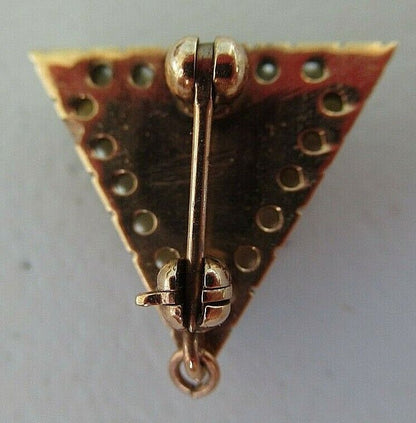 USA FRATERNITY PIN PHI ALPHA EPSILON. MADE IN GOLD. RUBIES. 1354