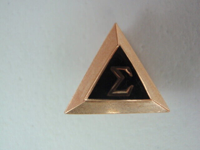 USA FRATERNITY PIN DELTA SIGMA. MADE IN GOLD. 441